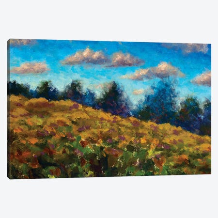 Brown Field In Front Of Forest Against Blue Sky In Autumn Canvas Print #VRY870} by Valery Rybakow Canvas Art Print