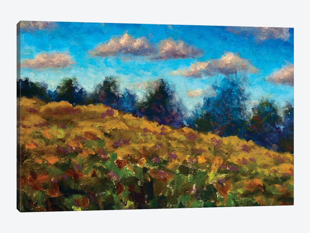Brown Field In Front Of Forest Against Blue Sky In Autumn by Valery Rybakow 1-piece Canvas Wall Art