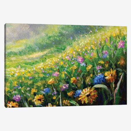 Meadow In Spring And Summer Wildflowers Daisies Canvas Print #VRY886} by Valery Rybakow Art Print