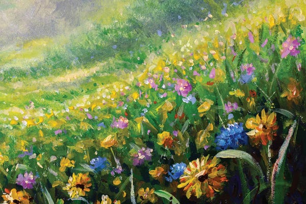 Valery Rybakow: Meadow In Spring And Summer Wildflowers Daisies by Valery Rybakow