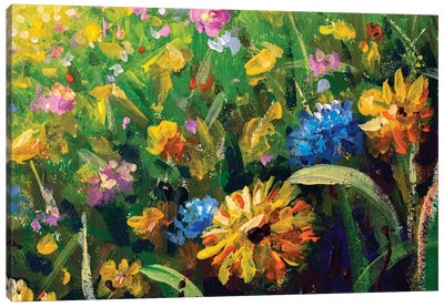 Beautiful Field Flowers On Canva Canvas Art Print - Valery Rybakow
