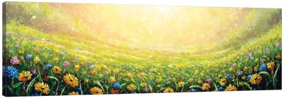 Yellow Flower Daisies And Blue Wildflowers In Grass Canvas Art Print - Wildflowers