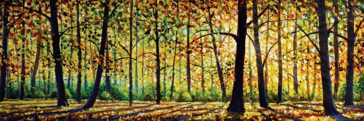 Autumn Forest Landscape