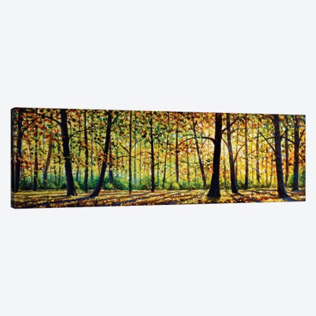 Autumn Forest Landscape Canvas Print #VRY889} by Valery Rybakow Canvas Artwork