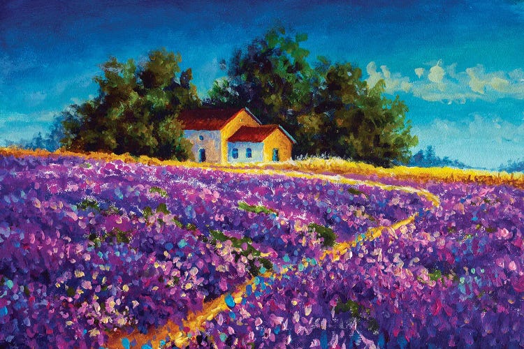 Tuscany Rural House Farmhouse In The Purple Lavender Field