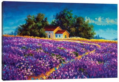 Tuscany Rural House Farmhouse In The Purple Lavender Field Canvas Art Print - Herb Art