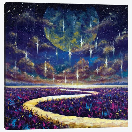 Starry Night Sky And Glowing River Among Purple Fields Canvas Print #VRY901} by Valery Rybakow Canvas Art Print