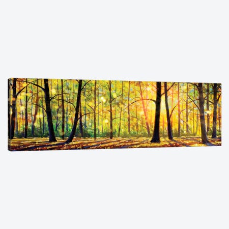 Gorgeous Sunny Trees In Forest Canvas Print #VRY907} by Valery Rybakow Canvas Artwork