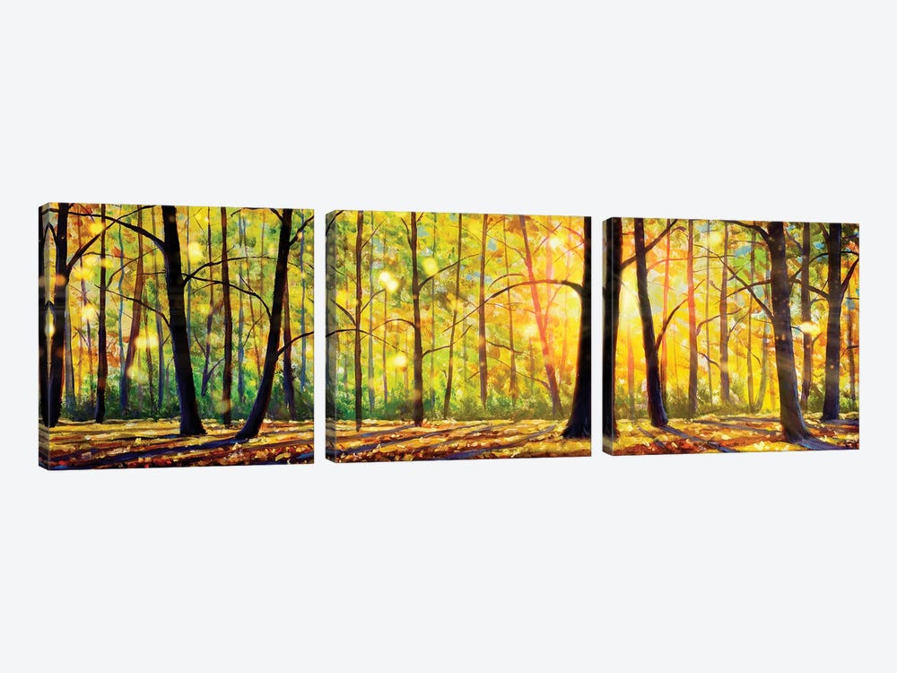 Gorgeous Sunny Trees In Forest by Valery Rybakow 3-piece Art Print