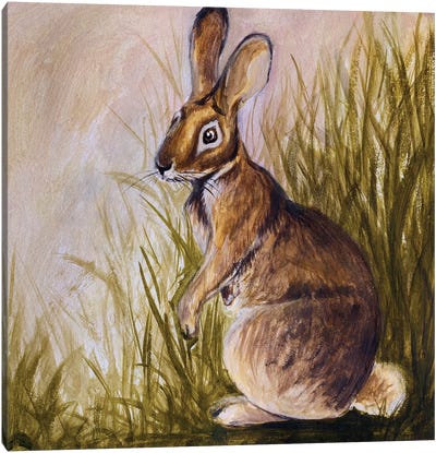 Water Rabbit, Chinese New Year 2023 Canvas Art Print - Valery Rybakow