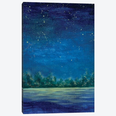 Starry Blue Night On The River Canvas Print #VRY960} by Valery Rybakow Art Print