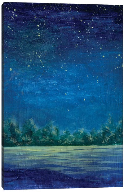 Starry Blue Night On The River Canvas Art Print - Night Sky Art