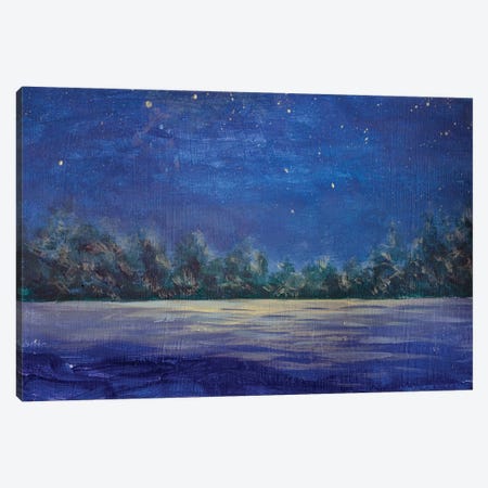 Starry Blue Night On The River Canvas Print #VRY961} by Valery Rybakow Canvas Print