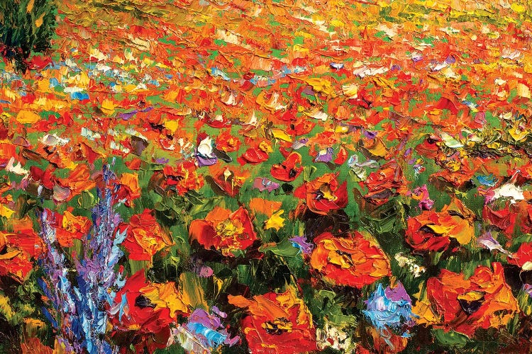 Summer Red Flowers Field