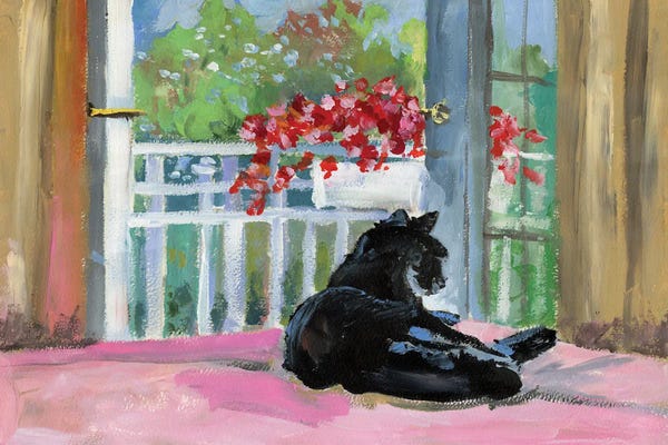 Windows: Black Cat by Vita Schagen