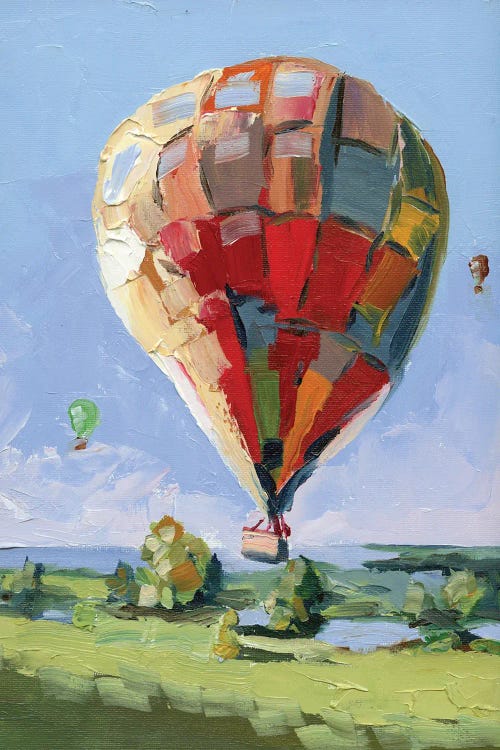 Hot Air Balloon by Vita Schagen wall art