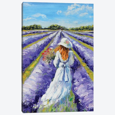 Lavender Field Canvas Print #VSC26} by Vita Schagen Canvas Wall Art