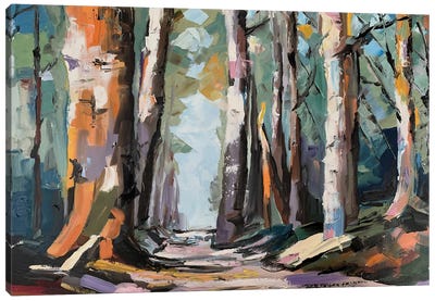 Mystery Forest Canvas Art Print - Vita Schagen