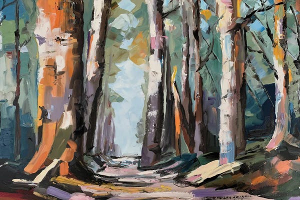 Vita Schagen: Mystery Forest by Vita Schagen