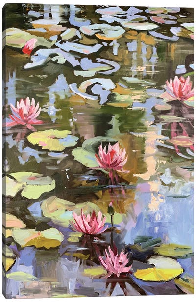 Water Lilies On A Pond Canvas Art Print