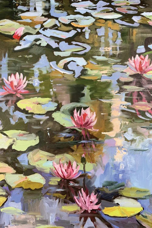 Water Lilies On A Pond