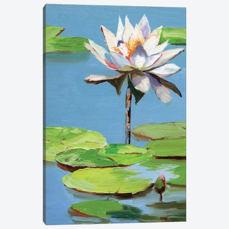 Water Lily In A Pond Canvas Print #VSC49} by Vita Schagen Canvas Print