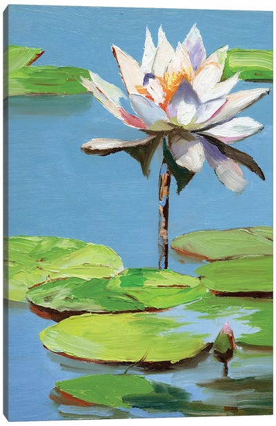Water Lily In A Pond Canvas Art Print - Jordy Blue