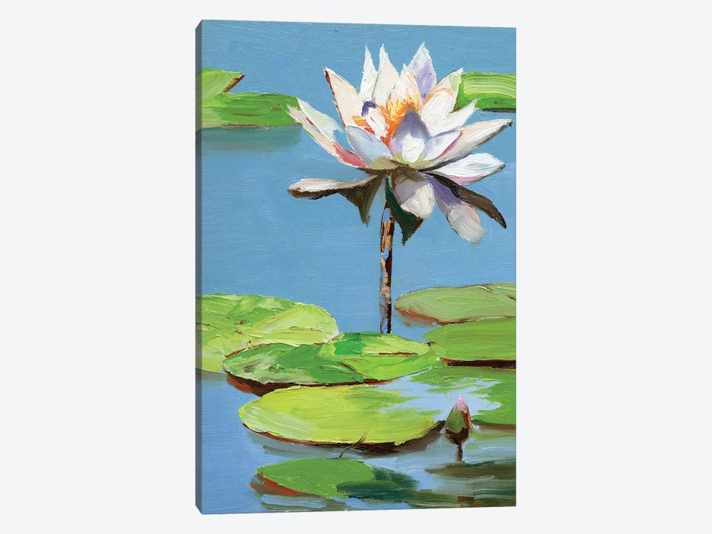 Water Lily In A Pond by Vita Schagen 1-piece Canvas Artwork