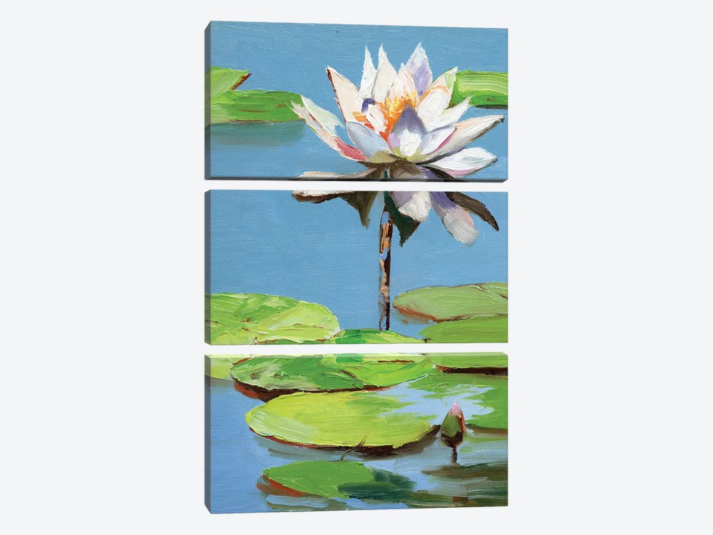 Water Lily In A Pond by Vita Schagen 3-piece Canvas Wall Art