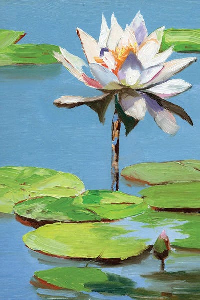 Vita Schagen: Water Lily In A Pond by Vita Schagen