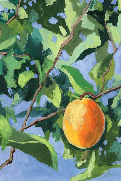 Apricot Tree by Vita Schagen wall art