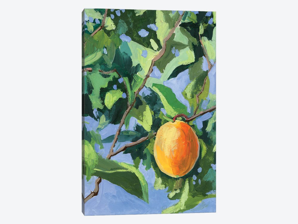 Apricot Tree by Vita Schagen 1-piece Canvas Art