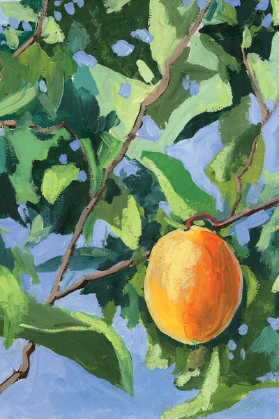 Green: Apricot Tree by Vita Schagen