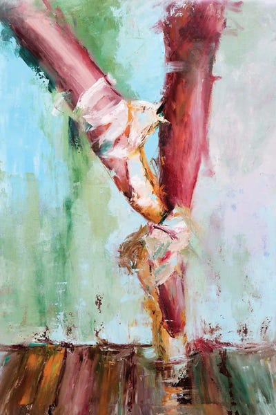 Vita Schagen: Ballerina by Vita Schagen