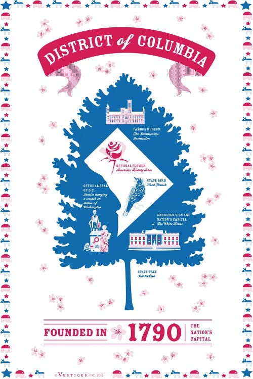 District Of Columbia by Vestiges wall art