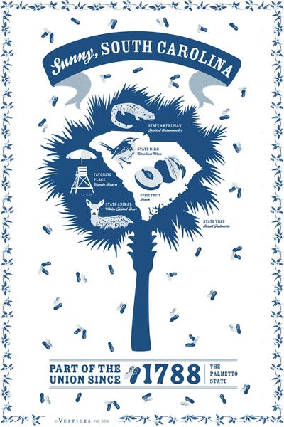 Vestiges: South Carolina by Vestiges