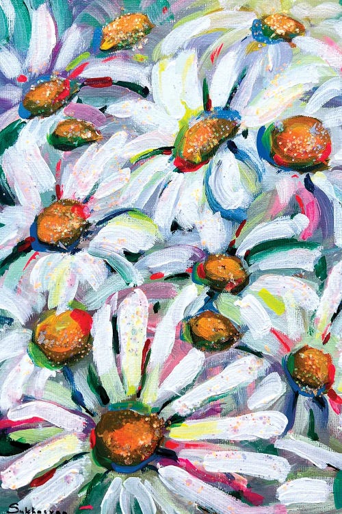 Daises by Victoria Sukhasyan wall art