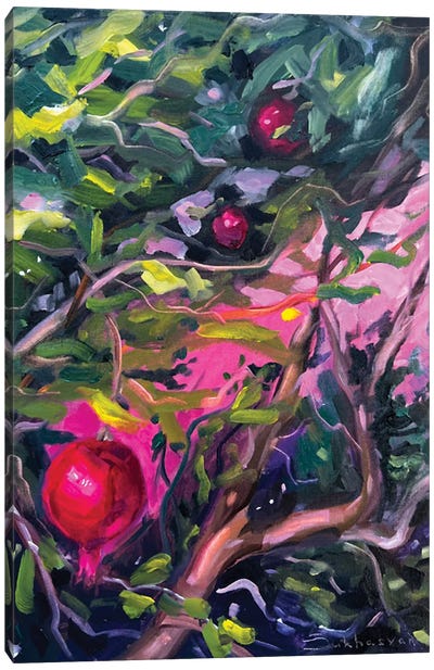 Pomegranate Tree Canvas Art Print - Victoria Sukhasyan