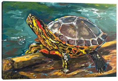 Red-Eared Turtle Canvas Art Print - Turtle Art