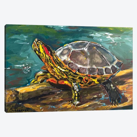 Red-Eared Turtle Canvas Print #VSH71} by Victoria Sukhasyan Canvas Art Print