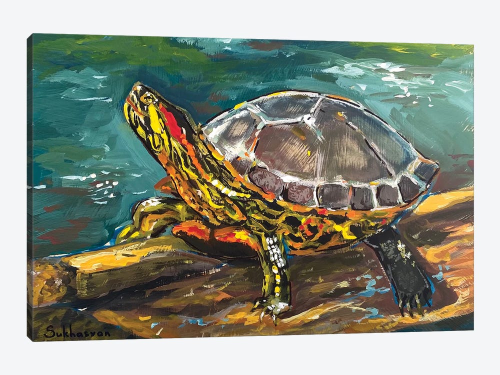 Red-Eared Turtle by Victoria Sukhasyan 1-piece Canvas Artwork
