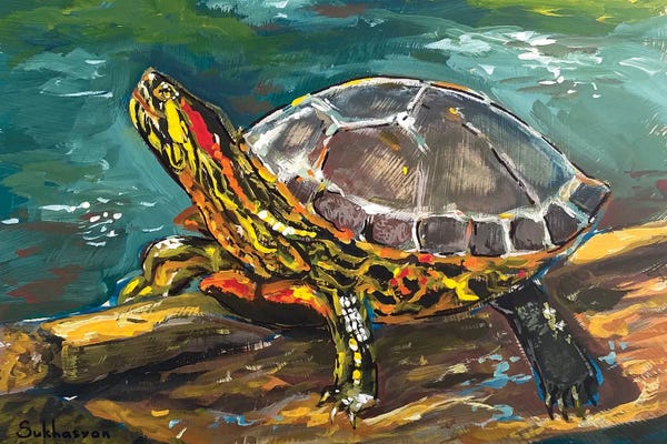 Reptiles & Amphibians: Red-Eared Turtle by Victoria Sukhasyan