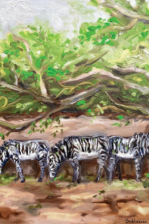 Scenery With Zebras