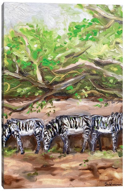 Scenery With Zebras Canvas Art Print - Victoria Sukhasyan