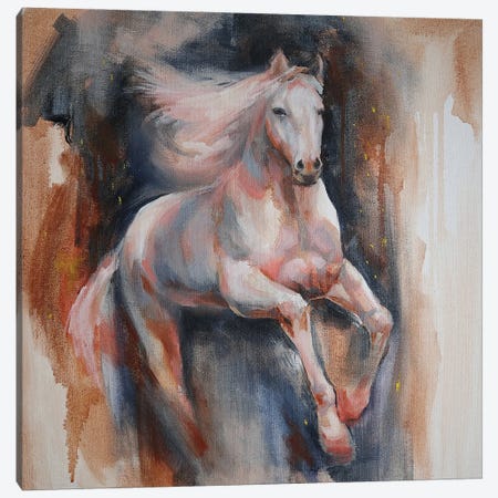 White Horse Canvas Print #VSK29} by Valentina Shatokhina Art Print