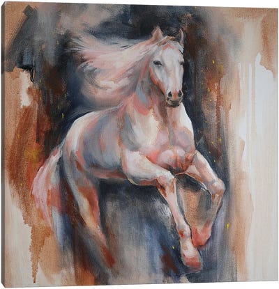 White Horse Canvas Art Print - Valentina Shatokhina