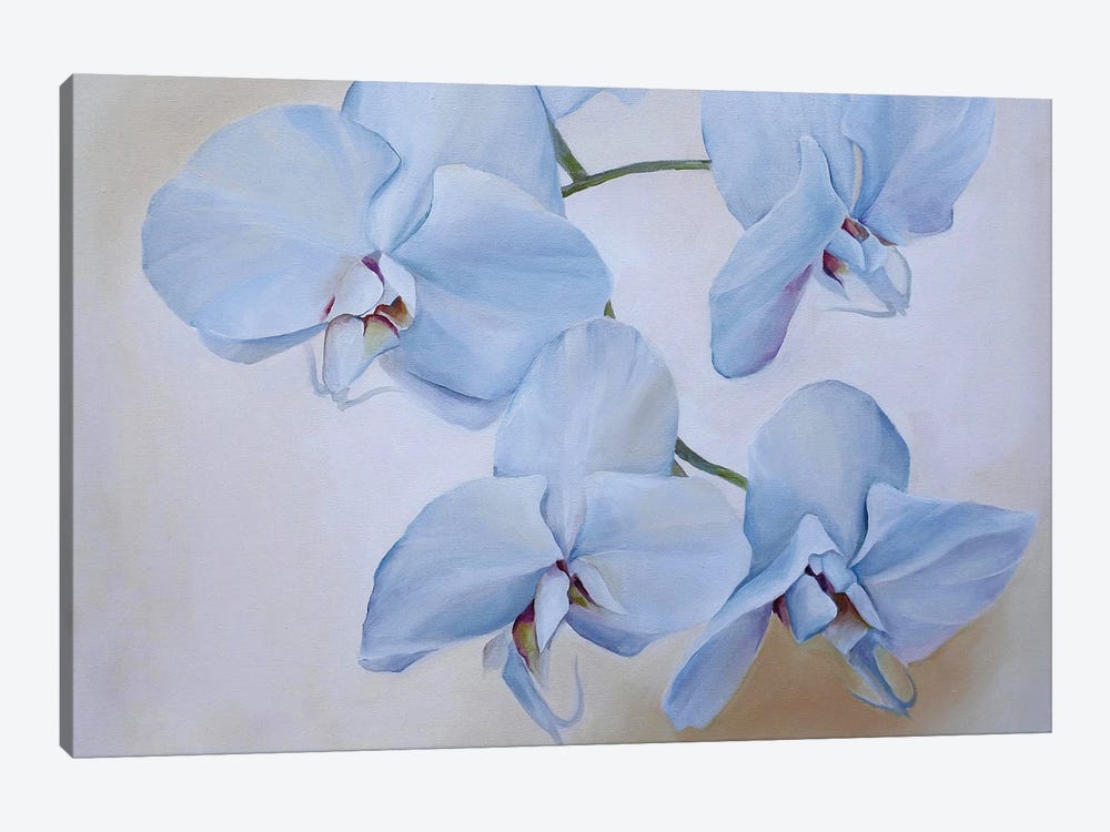 Orchids by Valentina Shatokhina 1-piece Canvas Artwork