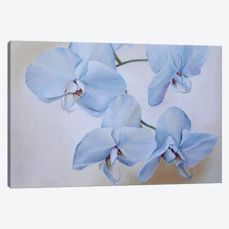 Orchids Canvas Print #VSK31} by Valentina Shatokhina Canvas Artwork