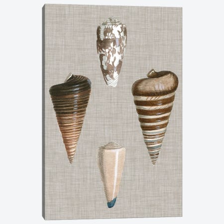 Shells On Linen III Canvas Print #VSN125} by Vision Studio Canvas Wall Art