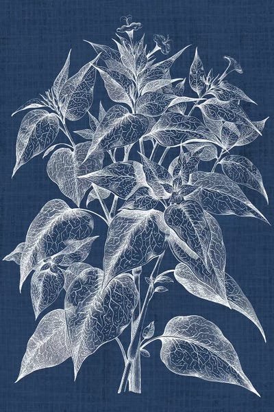 Nature Close-Ups: Foliage Chintz III by Vision Studio